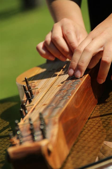 instrument  musician  photo  pixabay