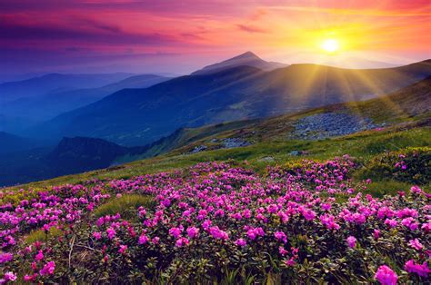 Spring Sunset Wallpapers - Wallpaper Cave