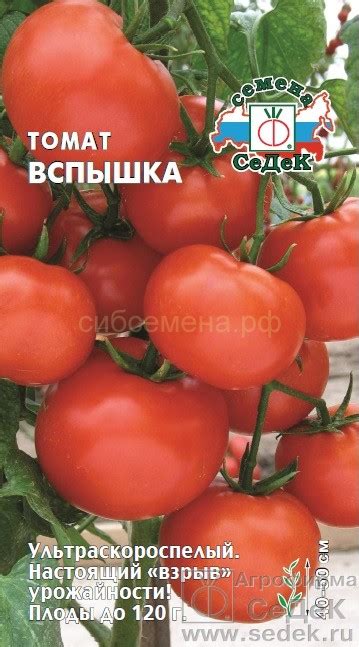 ТОМАТЫ — Семена для Сибири