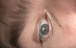 faces irl tier list maker tierlistscom