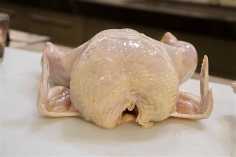 Chicken Temperature Tips: Simple Roasted Chicken | ThermoWorks