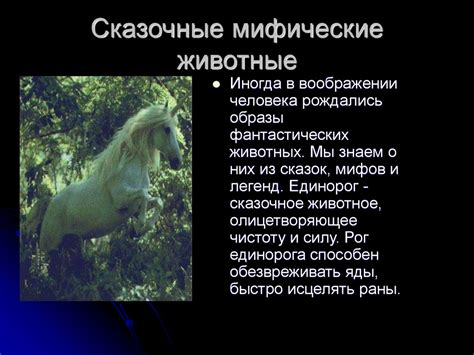 Мифы и легенды о животных у разных народов мира - презентация онлайн