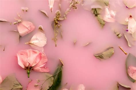 Página 14 | Imágenes de Fondo Pantalla Aesthetic Rosa - Descarga ...