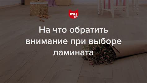 5 советов, как выбрать правильный ламинат — INMYROOM