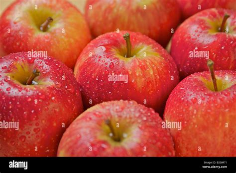 fresh fruit apples stock photo alamy