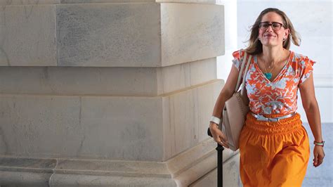 Sinema’s Puzzling Defense of the Carried Interest Loophole - The New