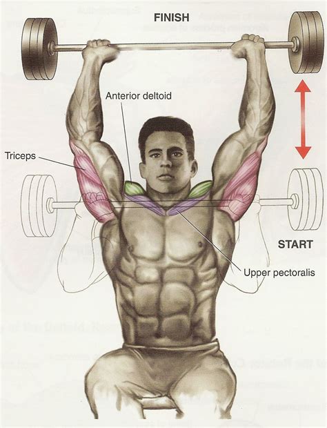 Best Workout for Shoulders-Huge Shoulders Tips | Bodybuilding and