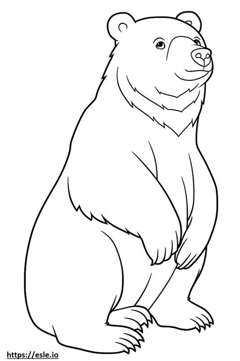 Asiatic Black Bear Friendly coloring page