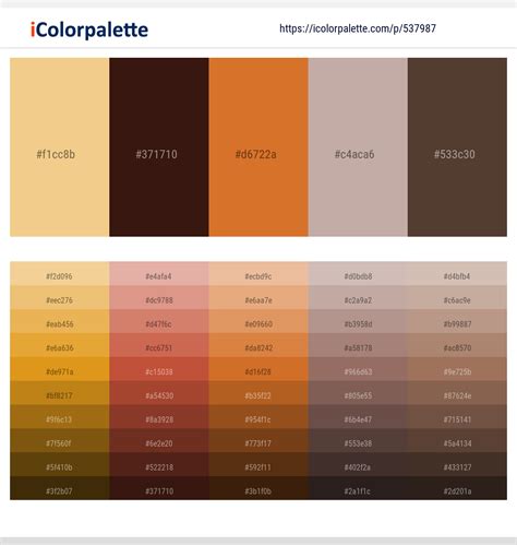 buff color palettes gradient ideas icolorpalette