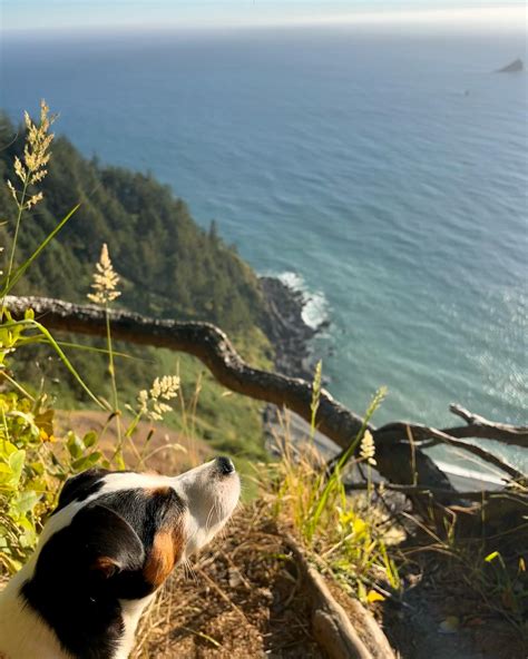 Jenna Lewis 💫 (@vaj3nna) • Instagram photos and videos