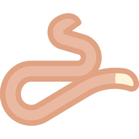 Caecilian Detailed color Lineal color icon
