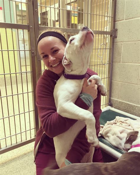 Veterinary Assistant Requirements | What You Need to be Know Before