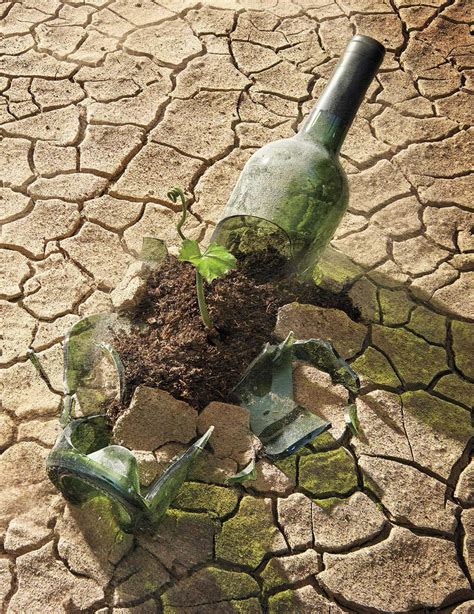 Climate Change Is Rapidly Altering Wine As We Know It | Wine Enthusiast
