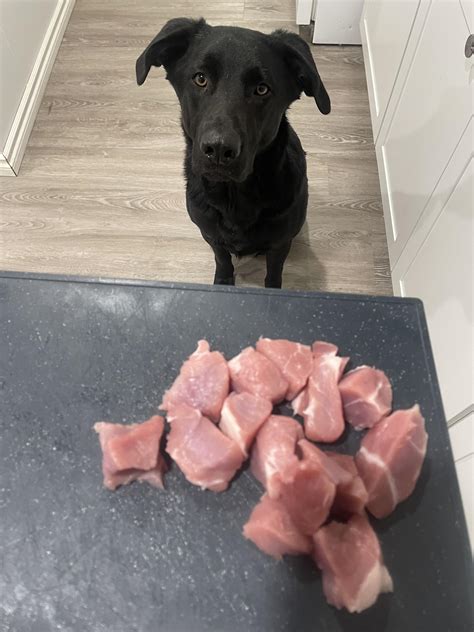 Can Dogs Survive On Human Food