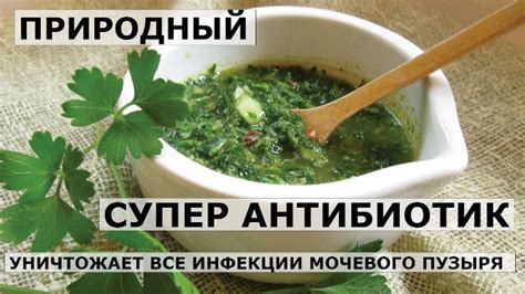 Природный супер-антибиотик уничтожает все инфекции мочевого пузыря и ...