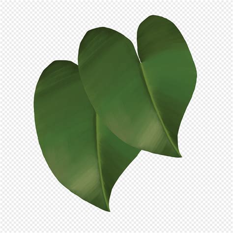 Heart Shaped Leaves Images, HD Pictures For Free Vectors Download