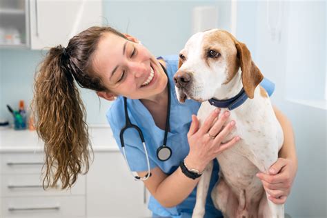 America's Best Animal Hospitals 2025 Survey - Newsweek