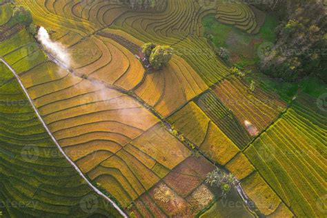 natural landscape of terraced rice terraces in Indonesia 24976296 Stock ...