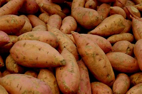 close   sweet potatoes  stock photo public domain pictures