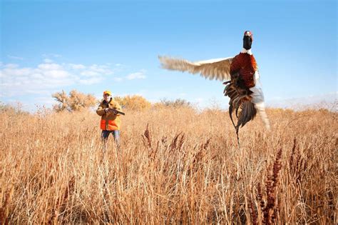 learn  hunt  legitimate hunter safety  ilearntohunt