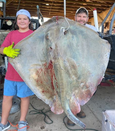 ROUGHTAIL STINGRAY - Bowfishing Association of America