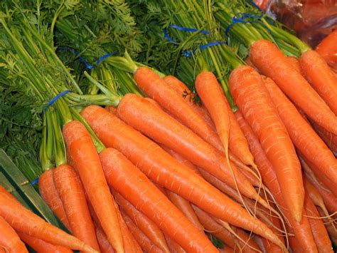 carrots bunch  food  photo  pixabay