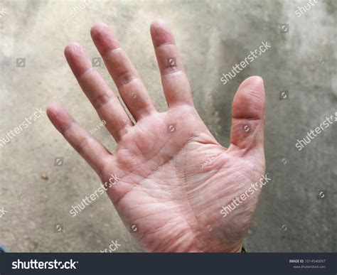 271 Simian Line Images, Stock Photos & Vectors | Shutterstock