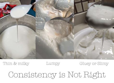 Frieda Loves Bread: Is My Homemade Yogurt Safe to Eat?