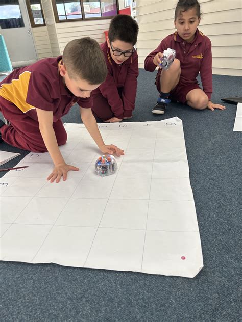 Blue Bots | Mill Park Heights Primary School