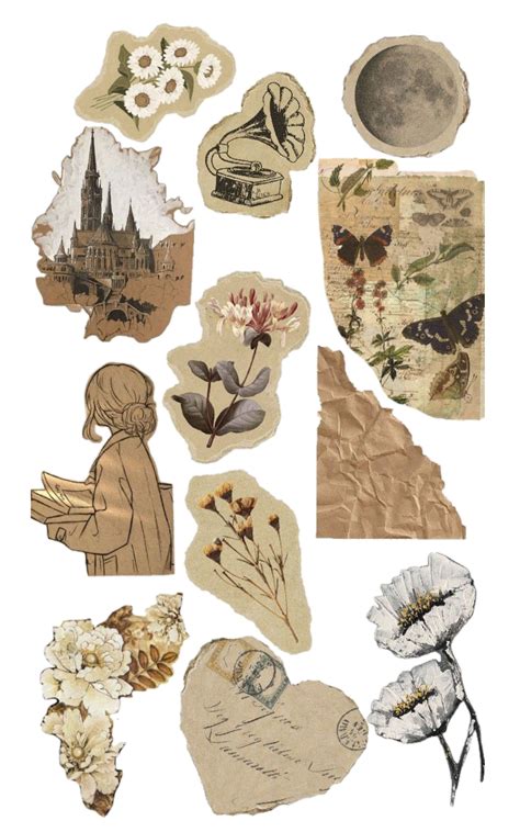 explore vintage aesthetic sticker set  creative projects design