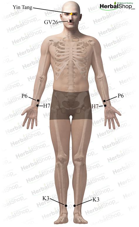 Acupressure Massage for Improve Memory – HerbalShop