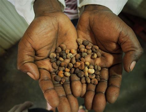 Part II: How Is the Global Food Crisis Affecting Africa? - TechnoServe