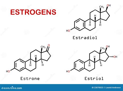 Female Sex Hormones Estrogenes Stock Illustration - Illustration of ...