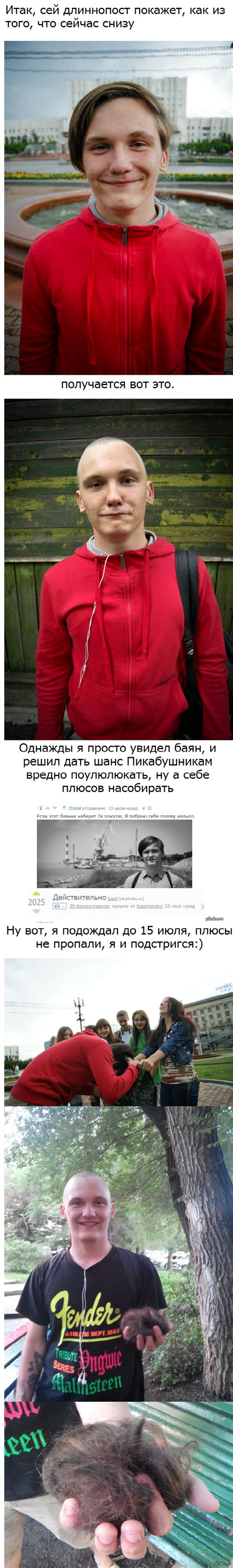 Ну вот и лысина:) | Пикабу