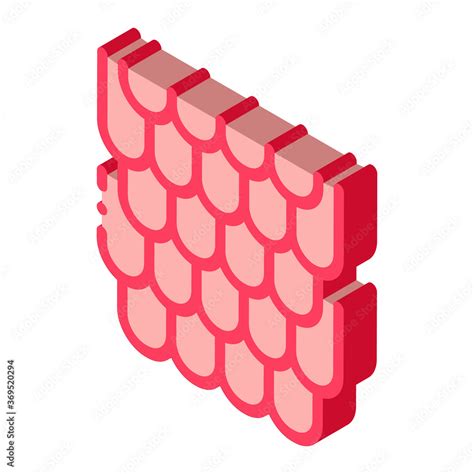 shingles roof icon vector isometric shingles roof sign color isolated