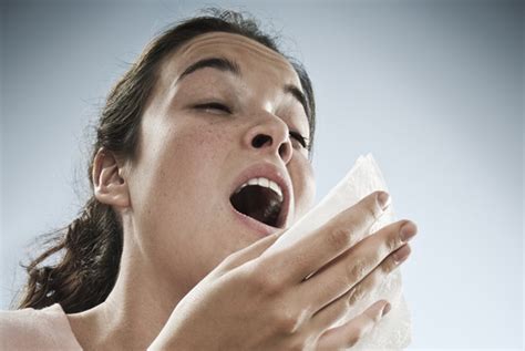 allergies scientific american