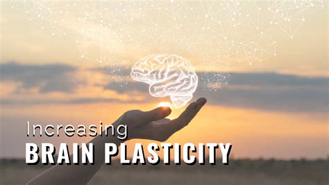 increase  brain plasticity dr nicole cain  ma