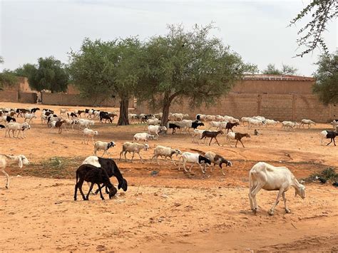 Explication sur le foncier et l’accaparement des terres à Tanout