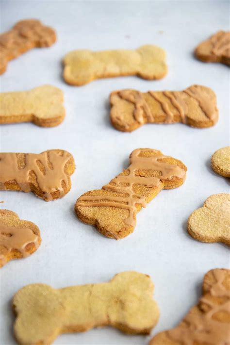 Are Grain Free Treats For Dogs Really Better