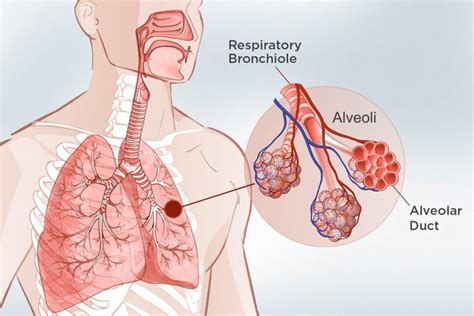 Lung Cancer Symptoms