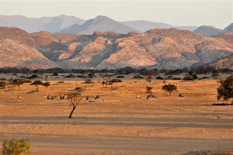 Iona, Angola – Legacy Landscapes Fund