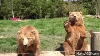 Waving Bear at Olympic Game Farm on Make a GIF