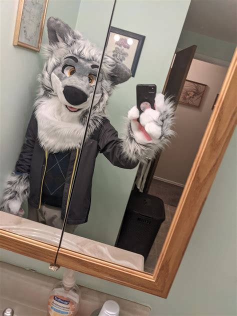 funny animal mirror selfie 1