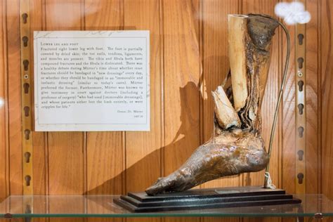 On the Grid : Mütter Museum