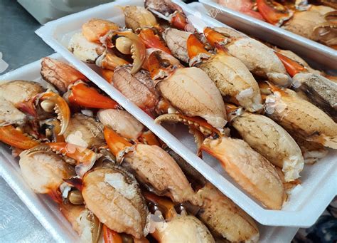 cua ca  dac san tuoi song mon ngon tai cho giao tan noi