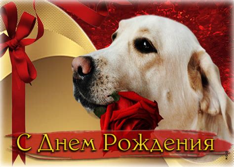 Стильная открытка с собакой С днем Рождения!- Скачать бесплатно на ...