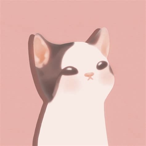 pop cat | Fandom