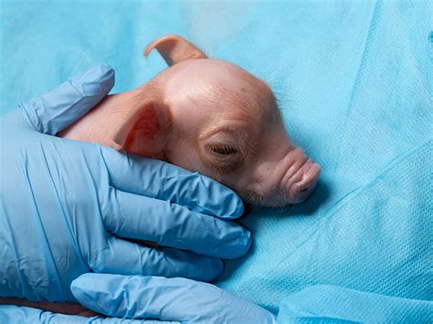 Your brain could be 'older' than your age—and it's easier than ever to