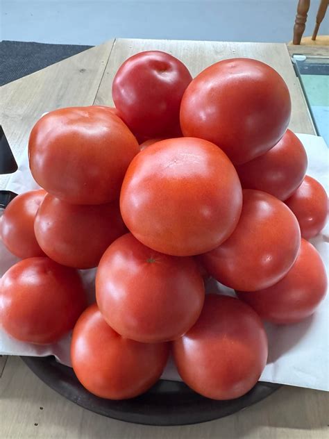 GG's Farm & Garden added a new photo. - GG's Farm & Garden