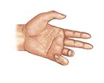 forefinger noun - Definition, pictures, pronunciation and usage notes ...